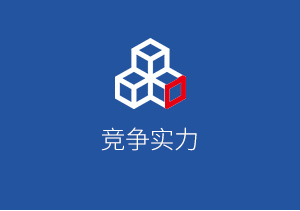 競爭實(shí)力